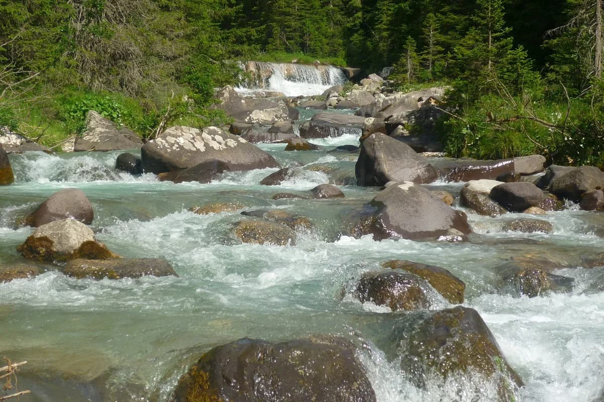 Un torrente di montagna che scorre fra i massi, ai margini del bosco